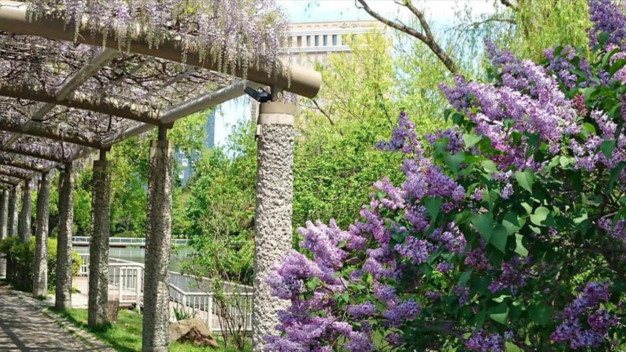 Hotel Lifort Сапоро Екстериор снимка